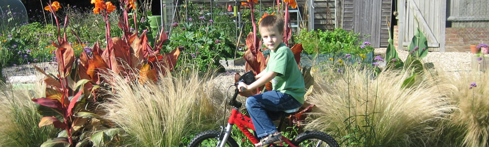 Professional garden designs