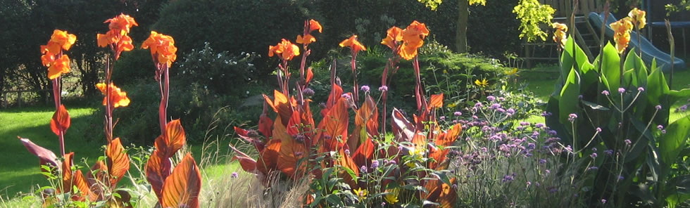 Professional garden designer
