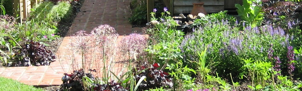Design my garden