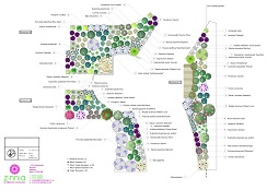 Planting plan